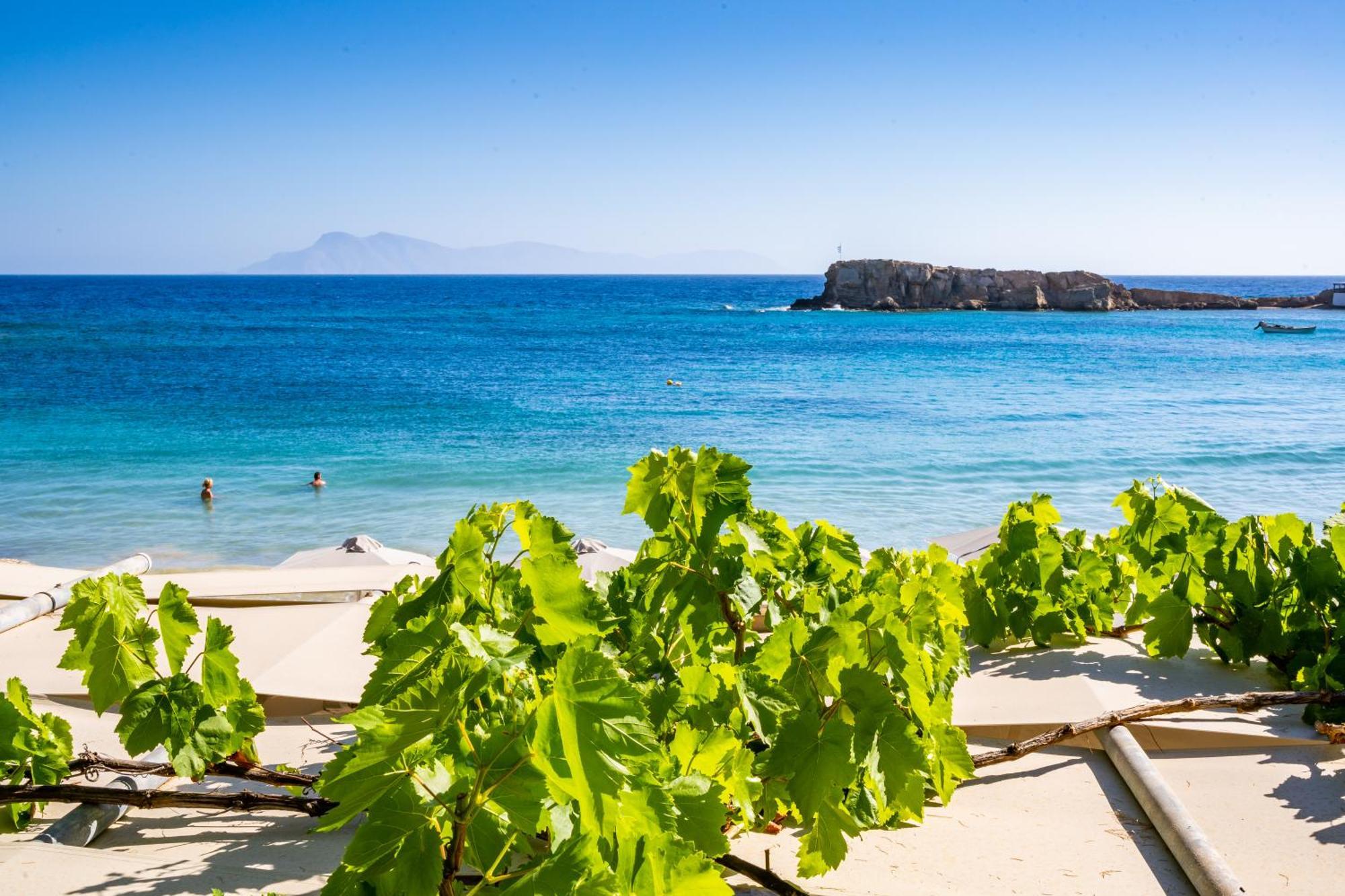 Le Grand Bleu Studios & Apartments Lefkos  部屋 写真